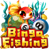 Câu Cá Bingo c54311 games